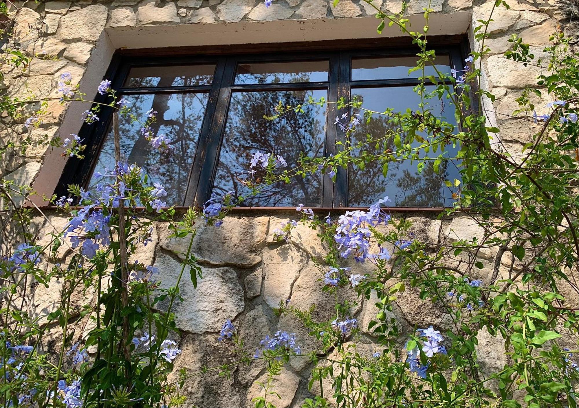 شقة La Casita Del Bosque سانت بيرِ ذي ريبيس المظهر الخارجي الصورة